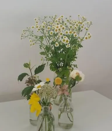 Apartamento Charmerende Og Hyggelig Taet Pa Centrum Århus