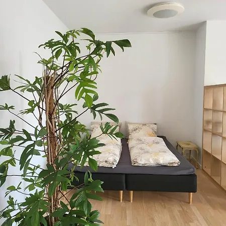 Apartament Straight-up Fantastic Bright Apartment! *